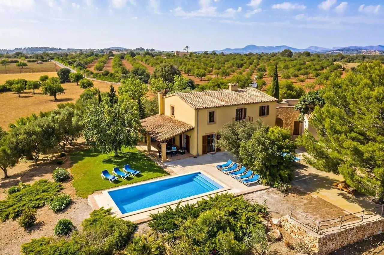 Finca Vista Alegre location
